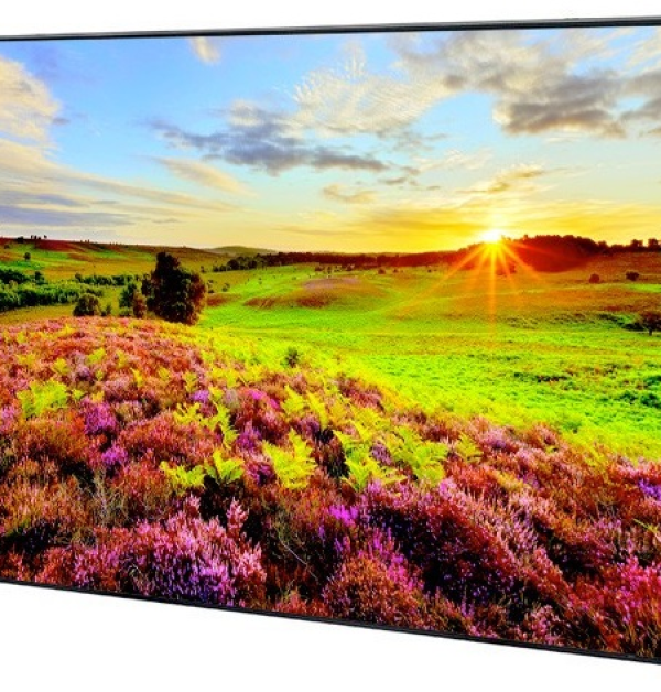Màn hình ghép LED 55 inch Full HD PANASONIC TH-55LFV70W